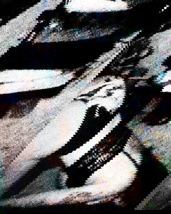 dustheadd dustheadd archive image