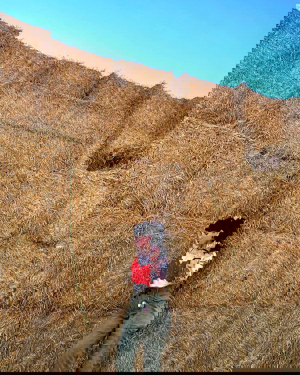 dustheadd dustheadd archive image