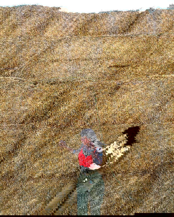 dustheadd dustheadd archive image