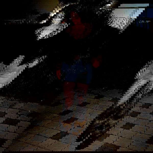 dustheadd dustheadd archive image