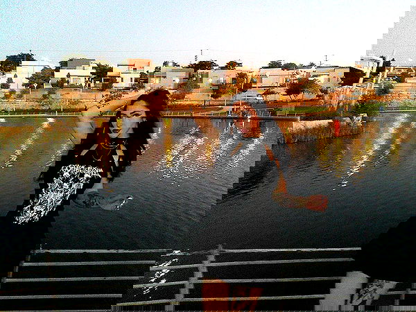 dustheadd dustheadd archive image