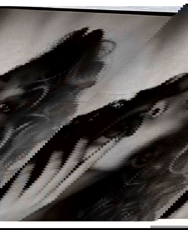 eceebayraktr image ~ Altpins