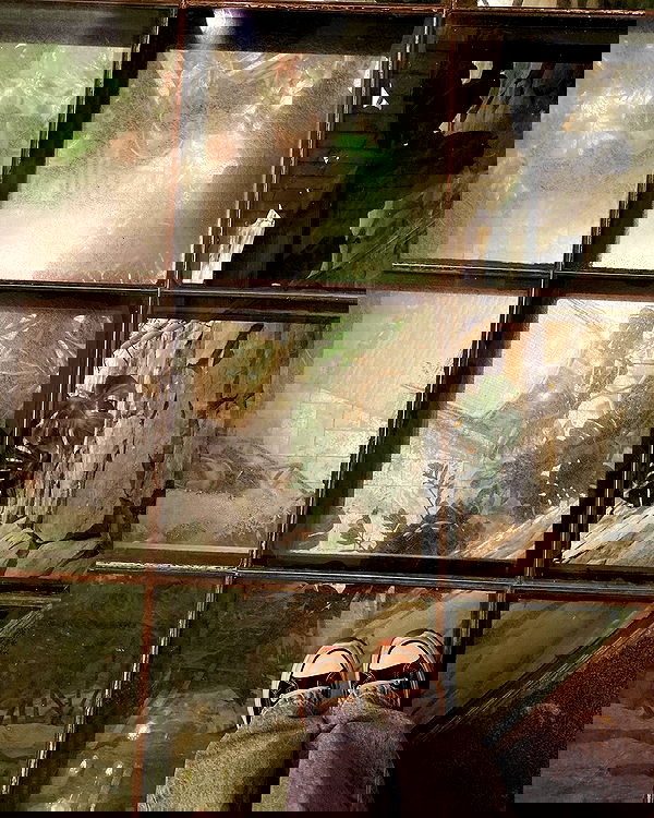 eceebayraktr image ~ Altpins