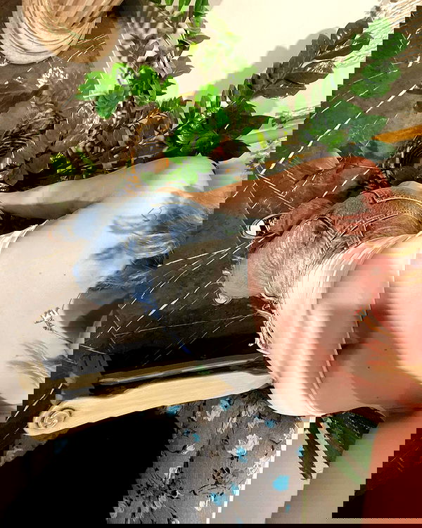 eceebayraktr image ~ Altpins