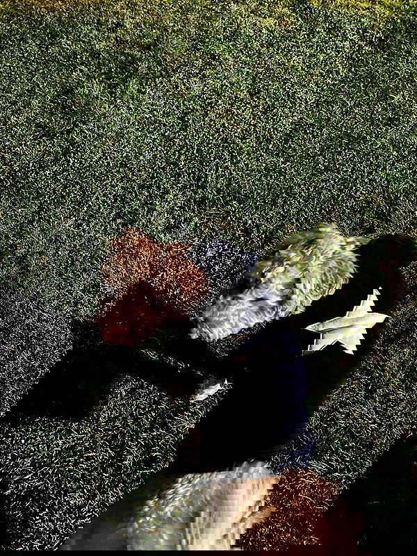 eceebayraktr image ~ Altpins