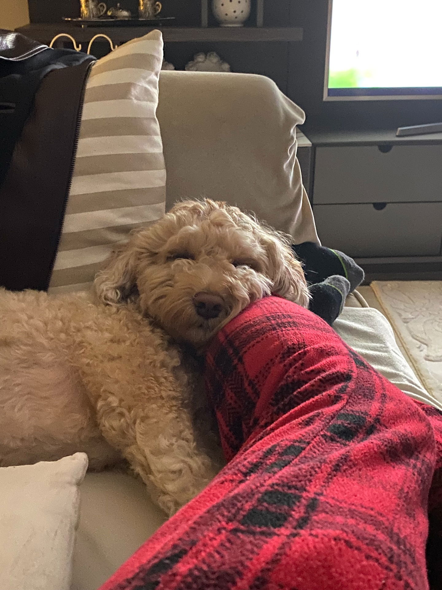 eceebayraktr instagram image archive image