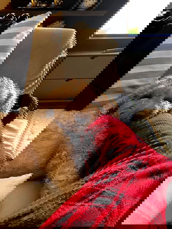 eceebayraktr image ~ Altpins