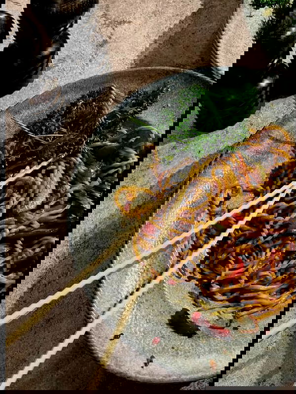 eceebayraktr image ~ Altpins