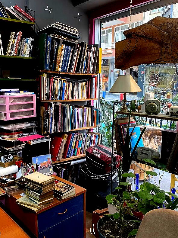 eceebayraktr image ~ Altpins