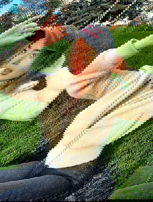 eceebayraktr image ~ Altpins