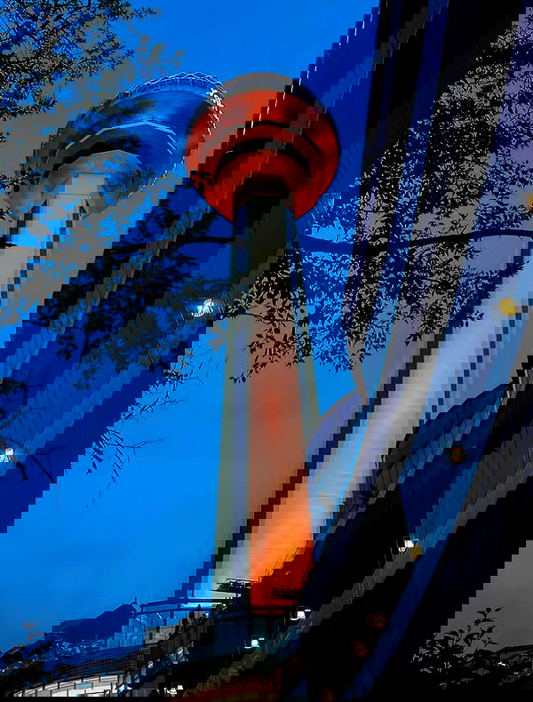 eceebayraktr image ~ Altpins