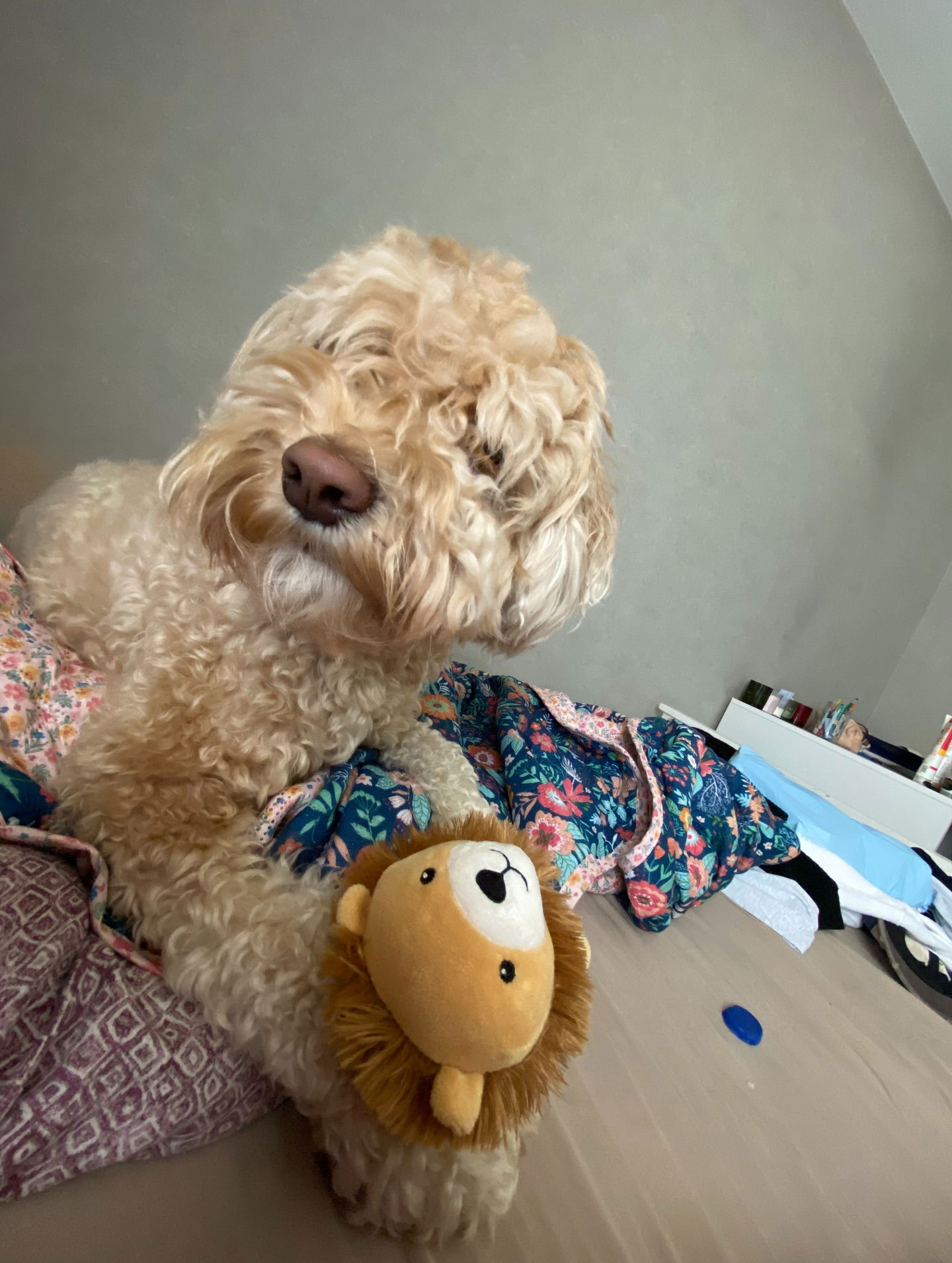 eceebayraktr instagram image archive image