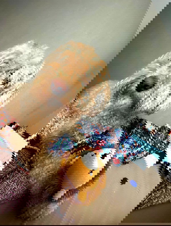 eceebayraktr image ~ Altpins