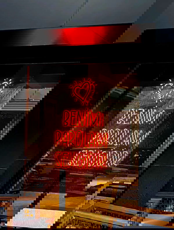 eceebayraktr image ~ Altpins