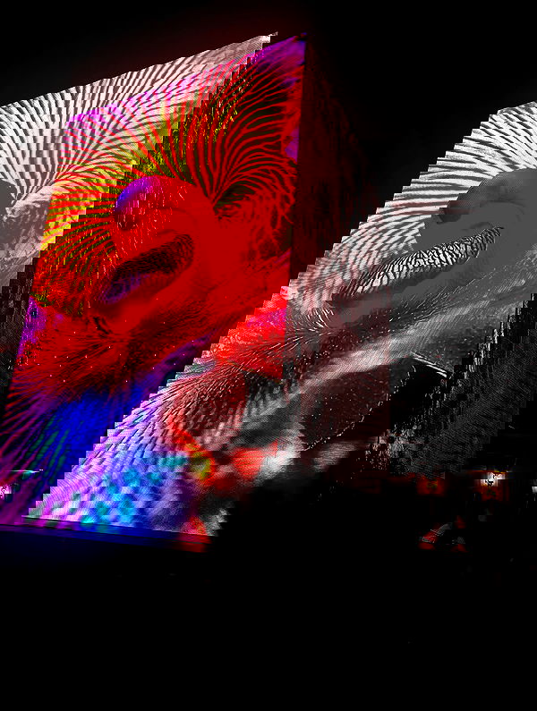 eceebayraktr image ~ Altpins