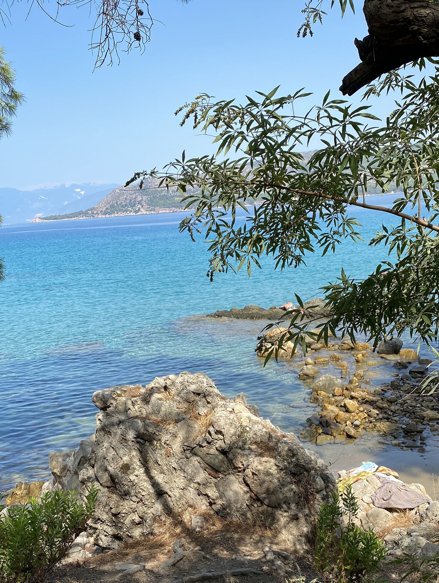 eceebayraktr instagram image archive image