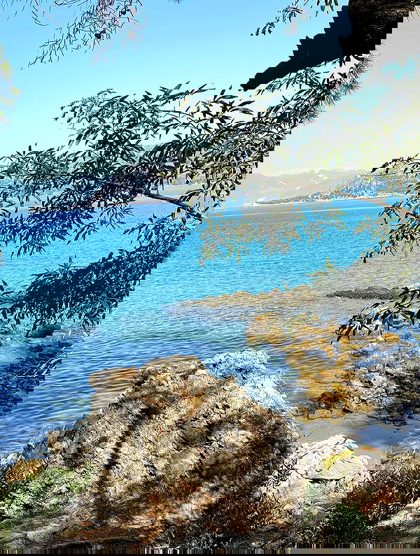 eceebayraktr image ~ Altpins