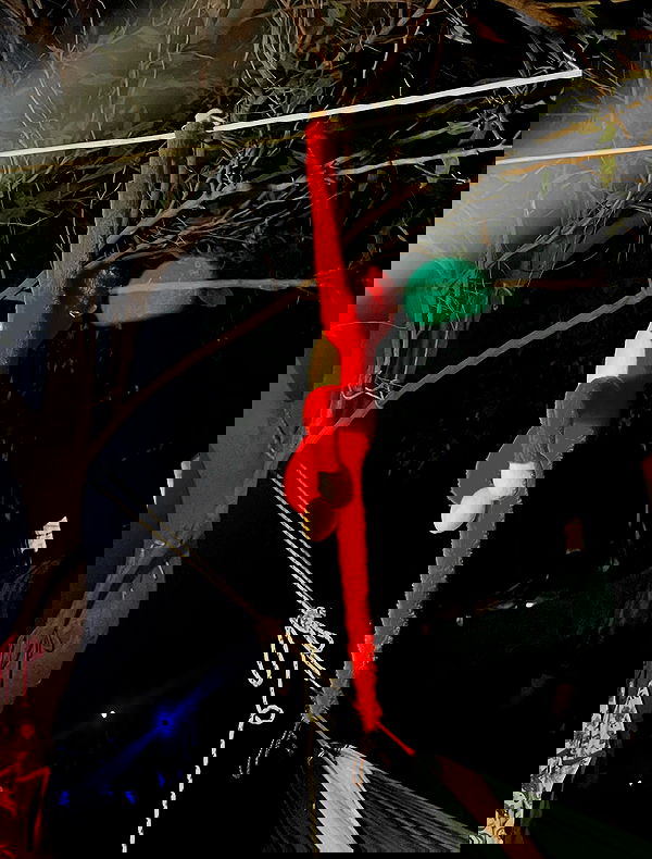 eceebayraktr image ~ Altpins