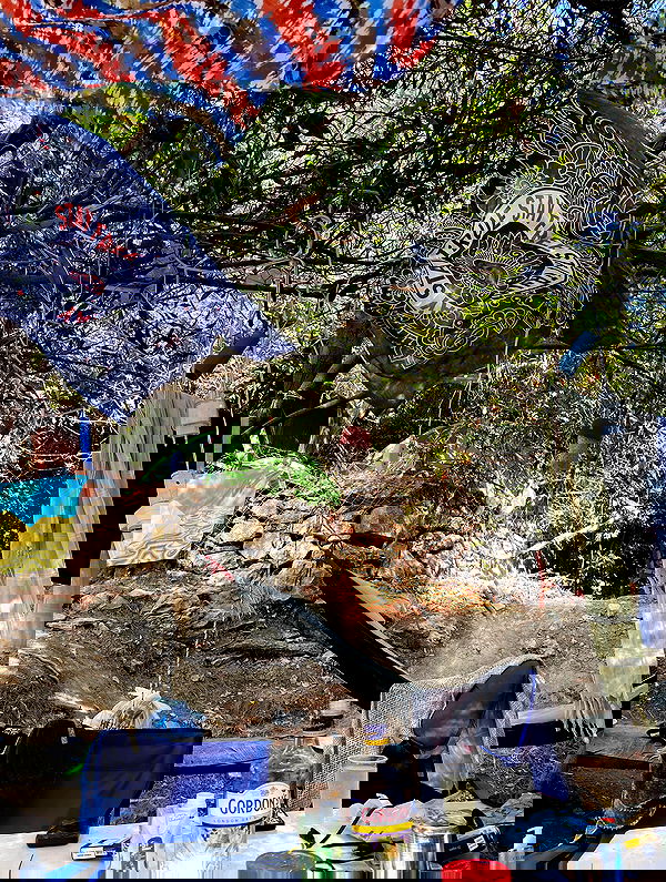 eceebayraktr image ~ Altpins