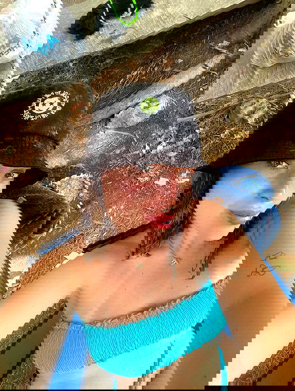 eceebayraktr image ~ Altpins