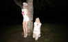 eclectic.angel Altpins Profile Picture