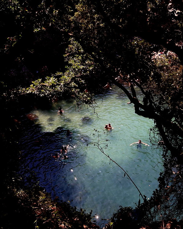 eden.zitun instagram image archive image