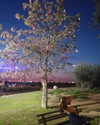 eden__j Altpins Profile Picture