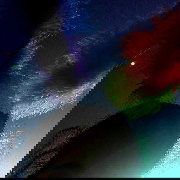 eden__j eden__j archive image