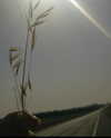 eden__j Altpins Profile Picture
