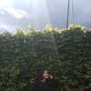eden__j Altpins Profile Picture