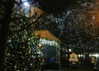 eden__j Altpins Profile Picture