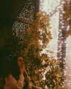 eden__j Altpins Profile Picture