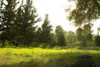 eden__j Altpins Profile Picture