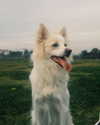 eden__j Altpins Profile Picture