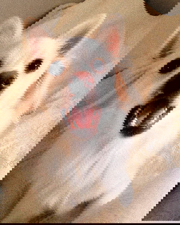 eden__j eden__j archive image