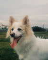 eden__j Altpins Profile Picture
