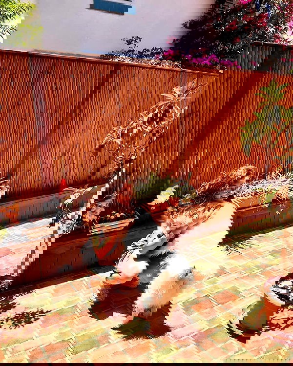 eden__j eden__j archive image