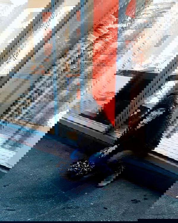 eden__j eden__j archive image