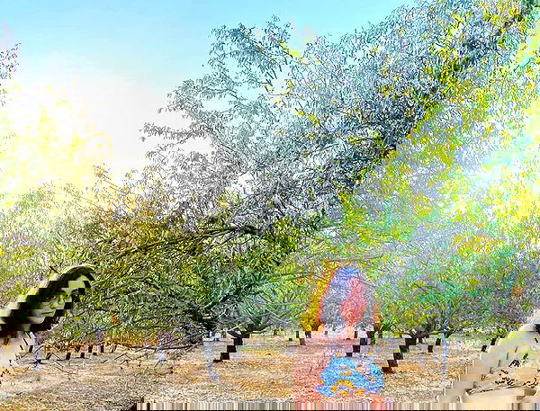 eden__j eden__j archive image