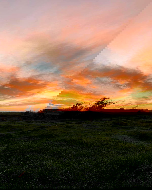 eden__j eden__j archive image