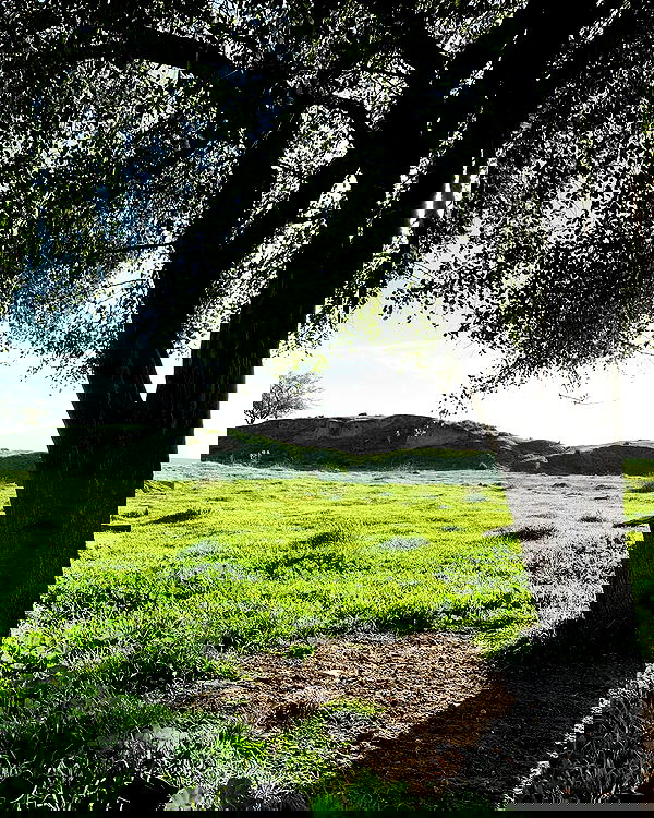 eden__j eden__j archive image