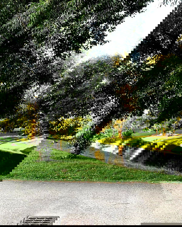 eden__j eden__j archive image