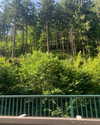 eden__j Altpins Profile Picture