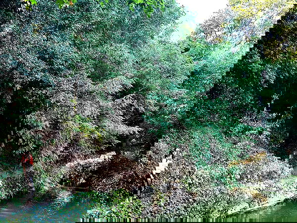 eden__j eden__j archive image