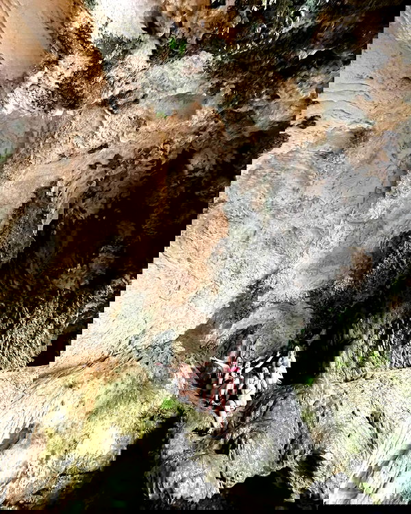 eden__j eden__j archive image