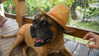 eden__j Altpins Profile Picture