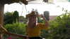 eden__j Altpins Profile Picture