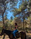 eden__j Altpins Profile Picture