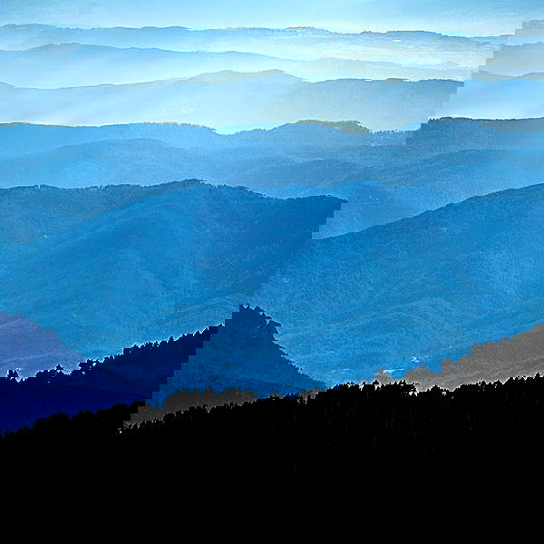 edin.karyn edin.karyn archive image