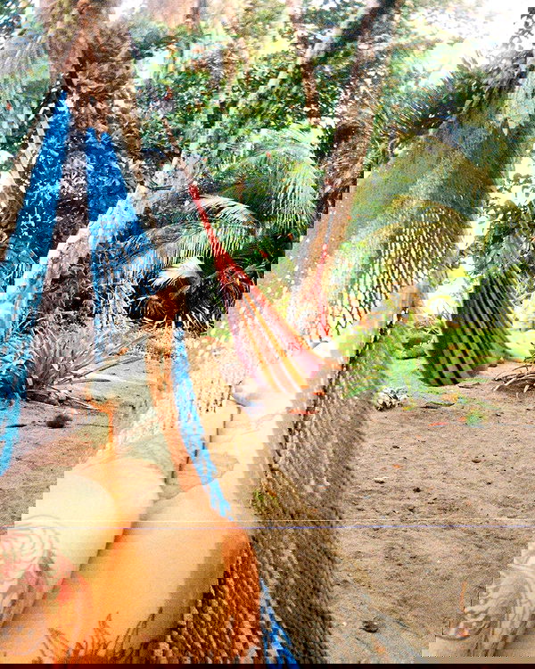 edin.karyn edin.karyn archive image